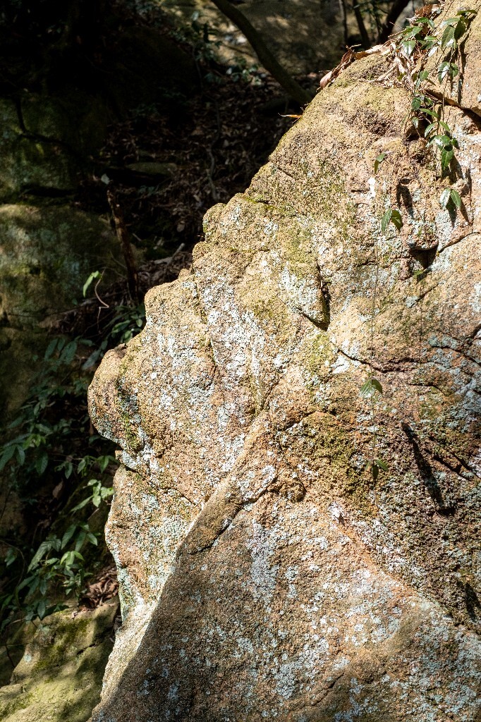 风光 山间小路 自然 风光 径山寺风光 曲径通幽 旅行 爬山 灯 光与影 光影的故事