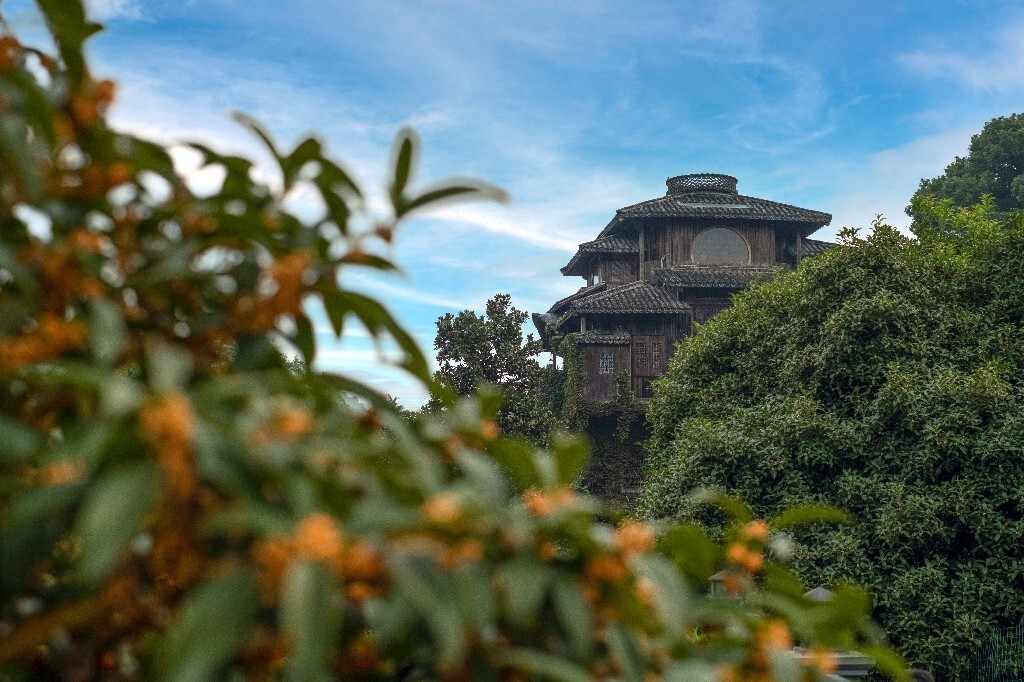 桂花 建筑 汤屋 风光 网红建筑 摄影 盛开的桂花