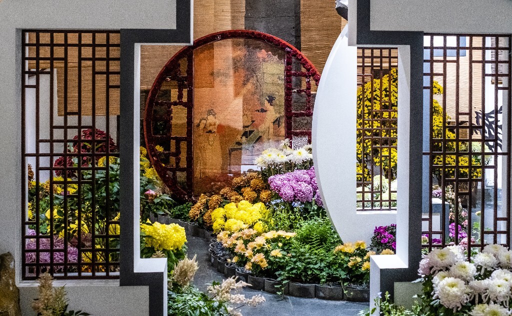 菊花 寿客 金英 黄华 秋菊 陶菊 日精 女华 延年 隐逸花 家菊 花儿 盛开的菊花
