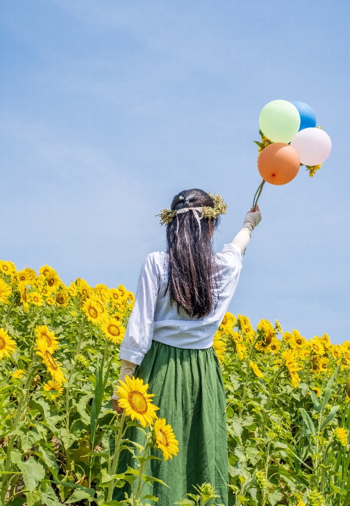 人像 风光 自然  向日葵  转日莲 太阳花 摄影 