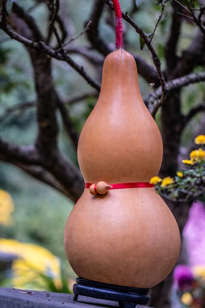 福禄 葫芦 菊花 旅行 风光  摄影  大葫芦小葫芦