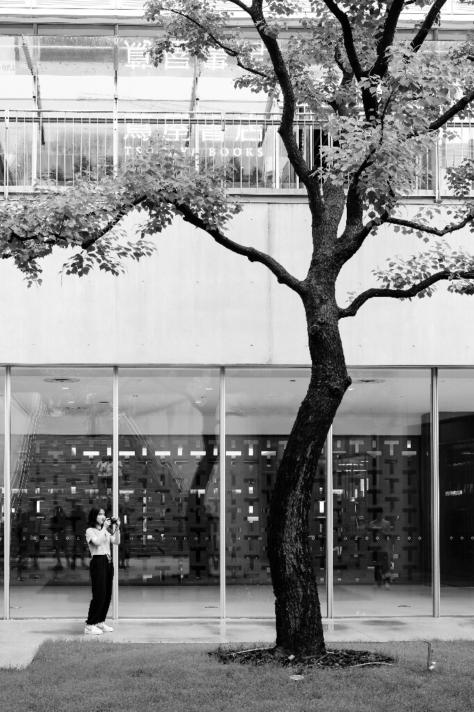 人像 建筑 鸟屋人像 网红建筑