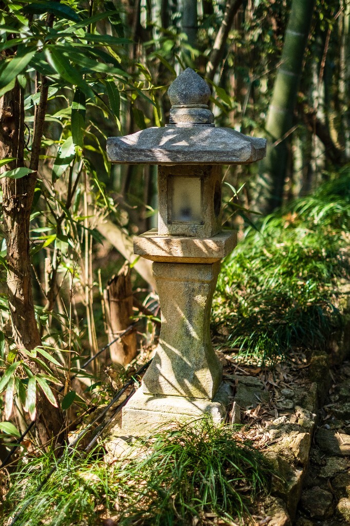 风光 山间小路 自然 风光 径山寺风光 曲径通幽 旅行 爬山 灯 光与影 光影的故事