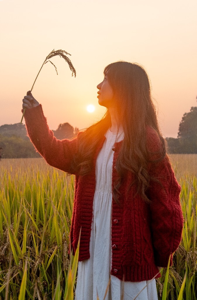 夕阳 秋季 秋天 人像 稻田 风光 旅行 色彩 夕阳下的稻田