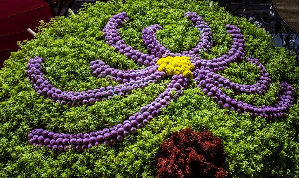 菊花 寿客 金英 黄华 秋菊 陶菊 日精 女华 延年 隐逸花 家菊 花儿 盛开的菊花