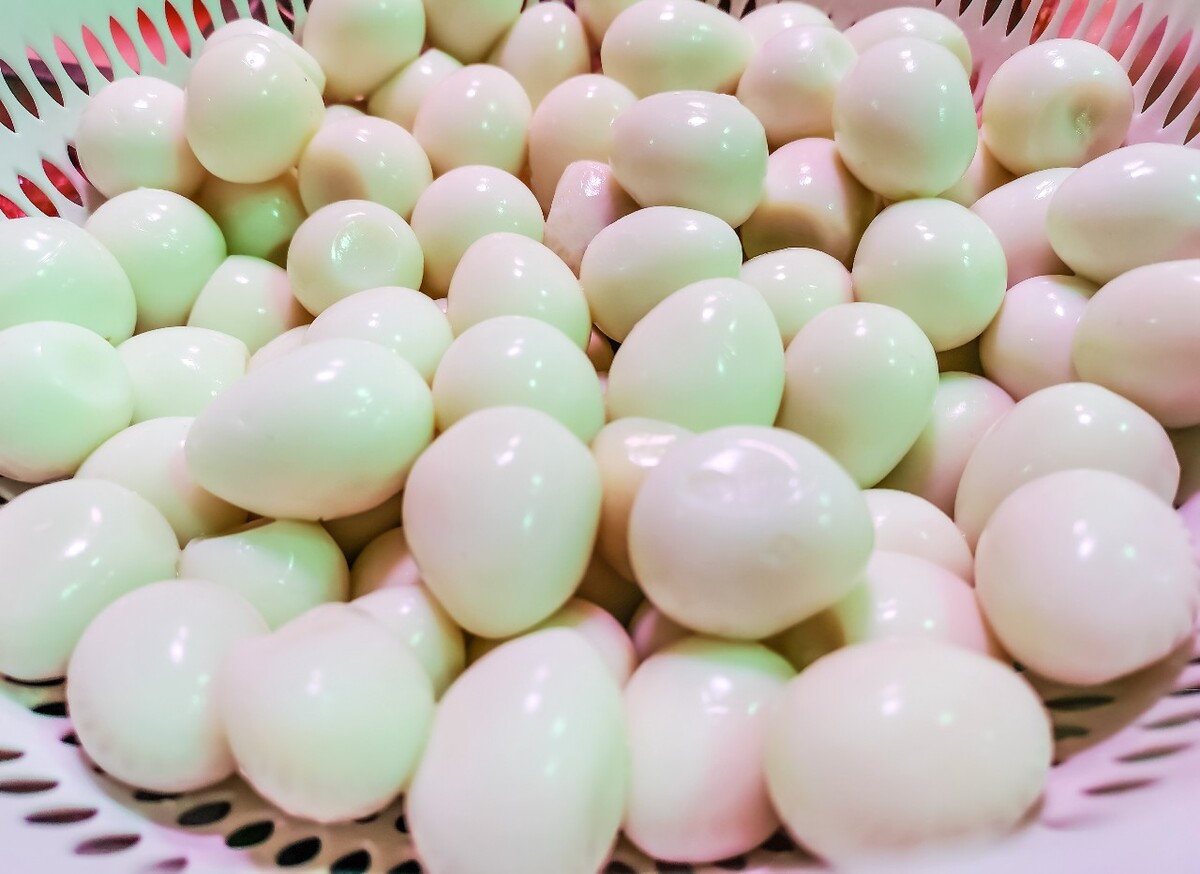 食物 特写 摄影 图片 美食 鹌鹑蛋 蛋 鸟蛋
