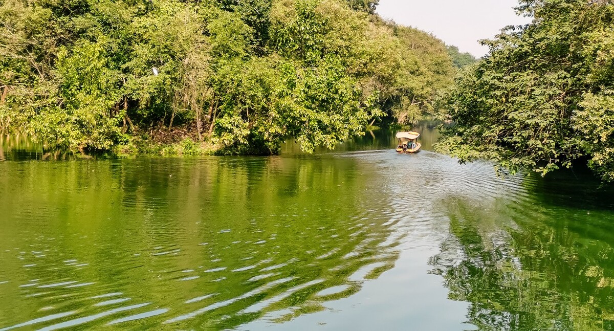 游船 船只 风光 风景 倒影 自然风景  水波 婆纹 