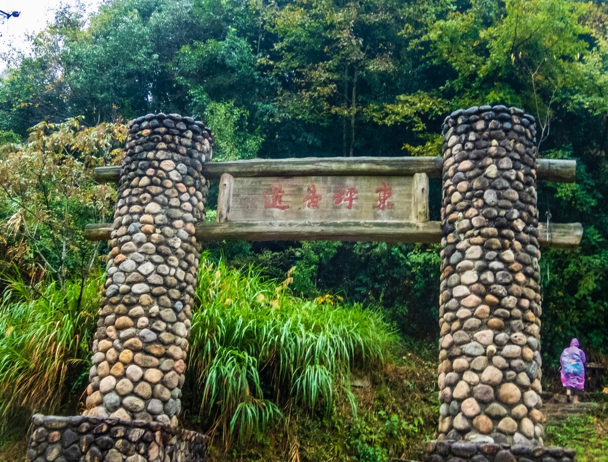 东平古道 风光 风景 自然 森林 树木 植物 山水 山峰 建筑 云雾 徽式建筑 柿子树
