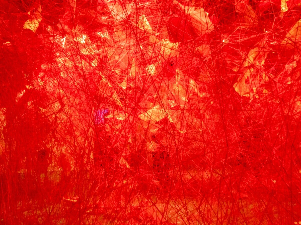 红线 线 网 线网 红纸 艺术 生活 展览 红线艺术