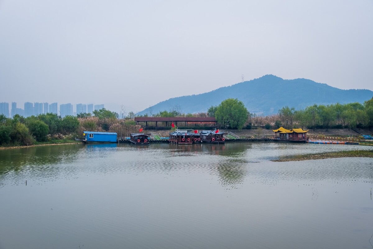 青山湖白鹭 白鹭 湖水 青山湖 风光 风景 水 湖 白鹤 鸟 大白鹭 中白鹭 小白鹭 黄嘴白鹭 船只 船 游船