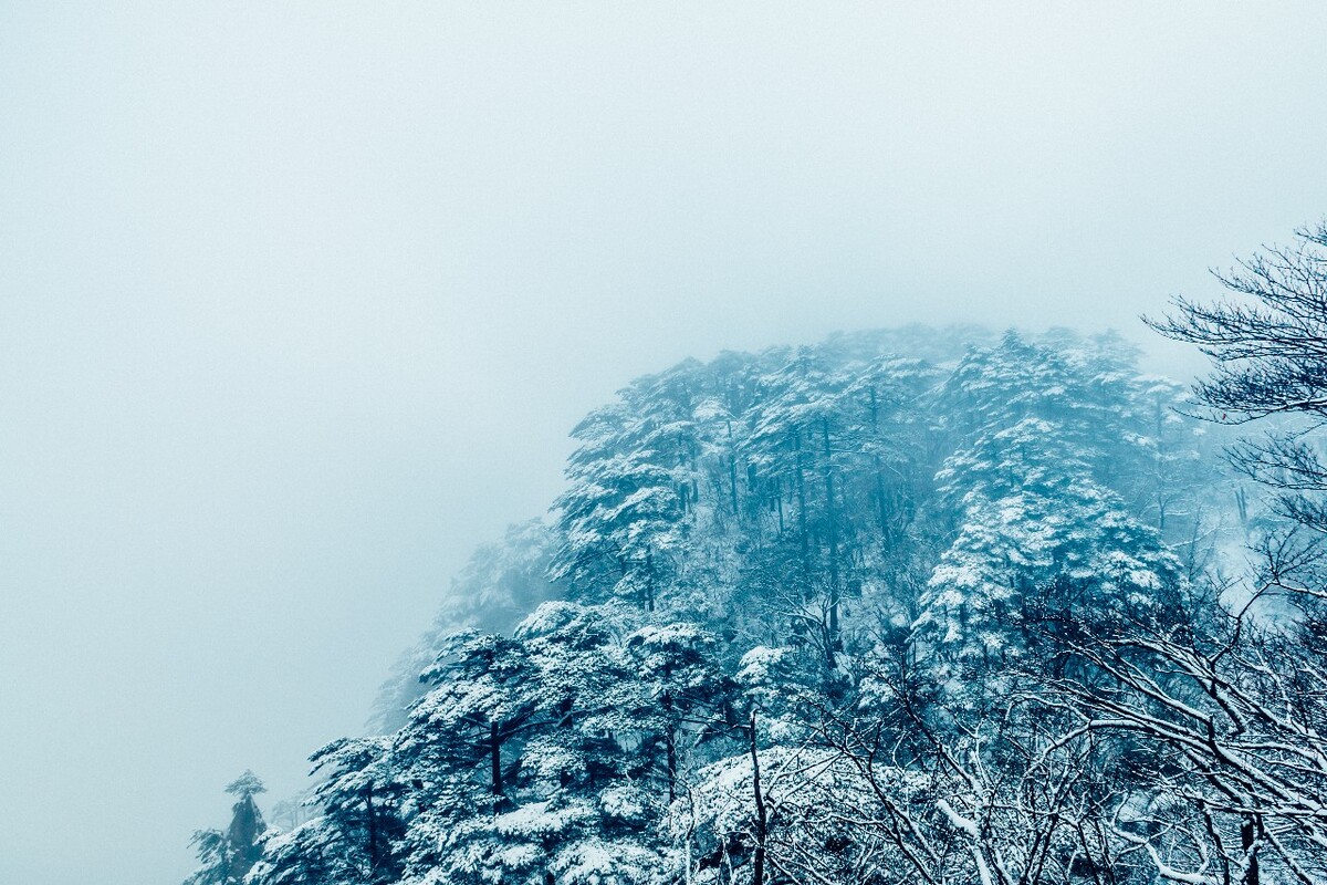 雪山 雪景 大自然 自然风光 银妆素裹 万里雪飘 黄山雪景 黄山 雪后的黄山 旅游 旅行 森林雪景