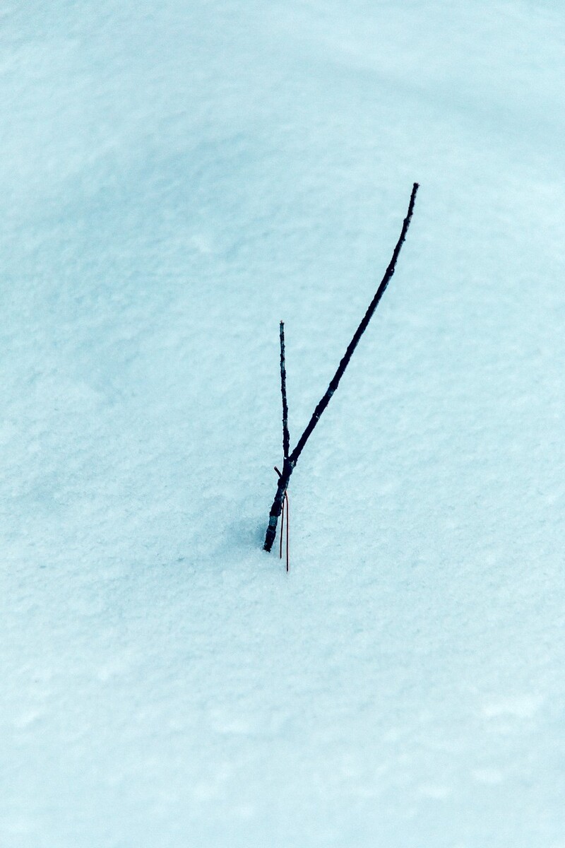 摄影 雪景 大自然 黄山 黄山雪景 雪中黄山 森林雪景