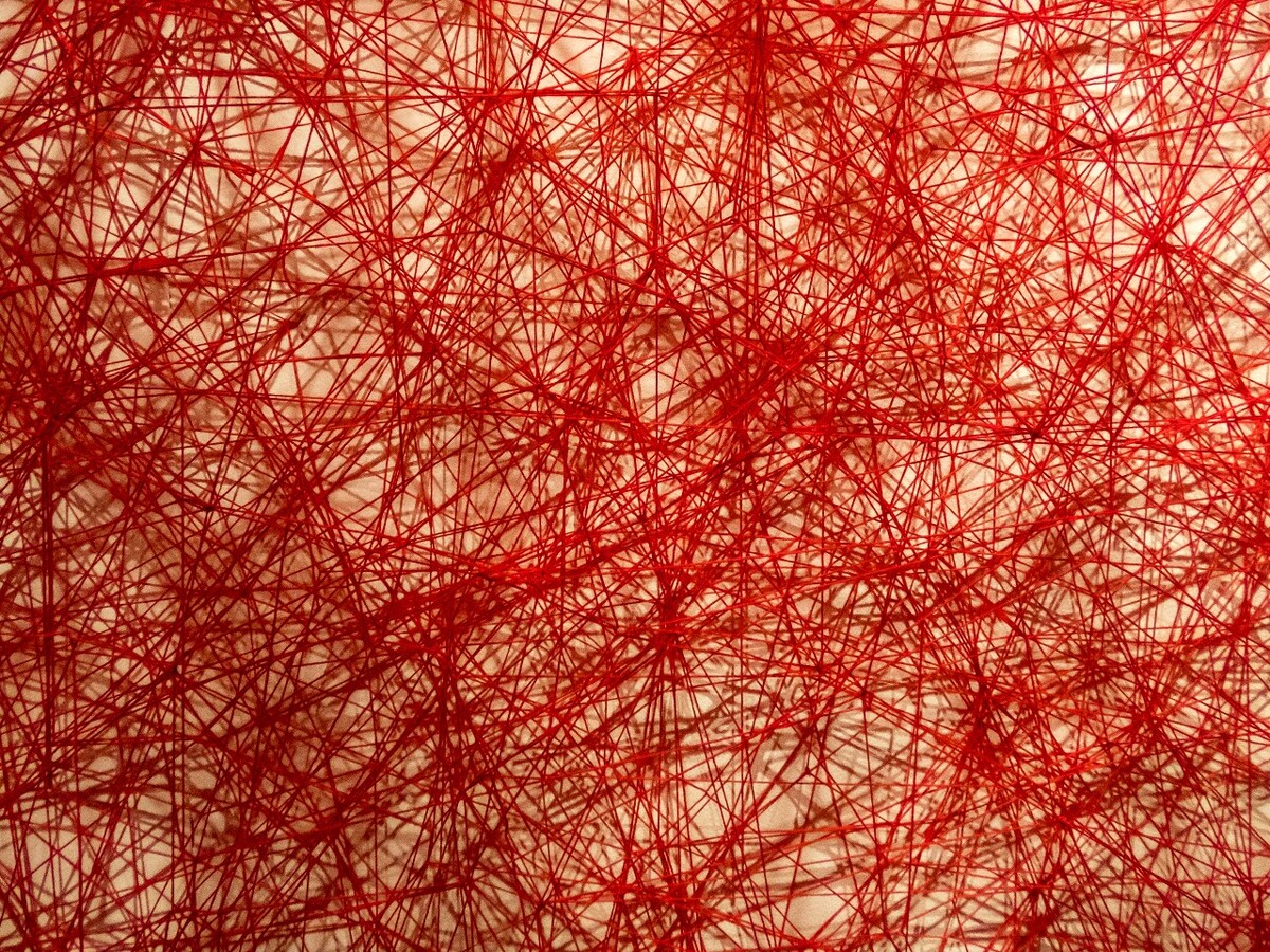 红线 线 网 线网 红纸 艺术 生活 展览 红线艺术