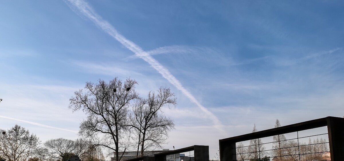 自然 风光 云彩 树 风景 天空 特写 素材 摄影  
