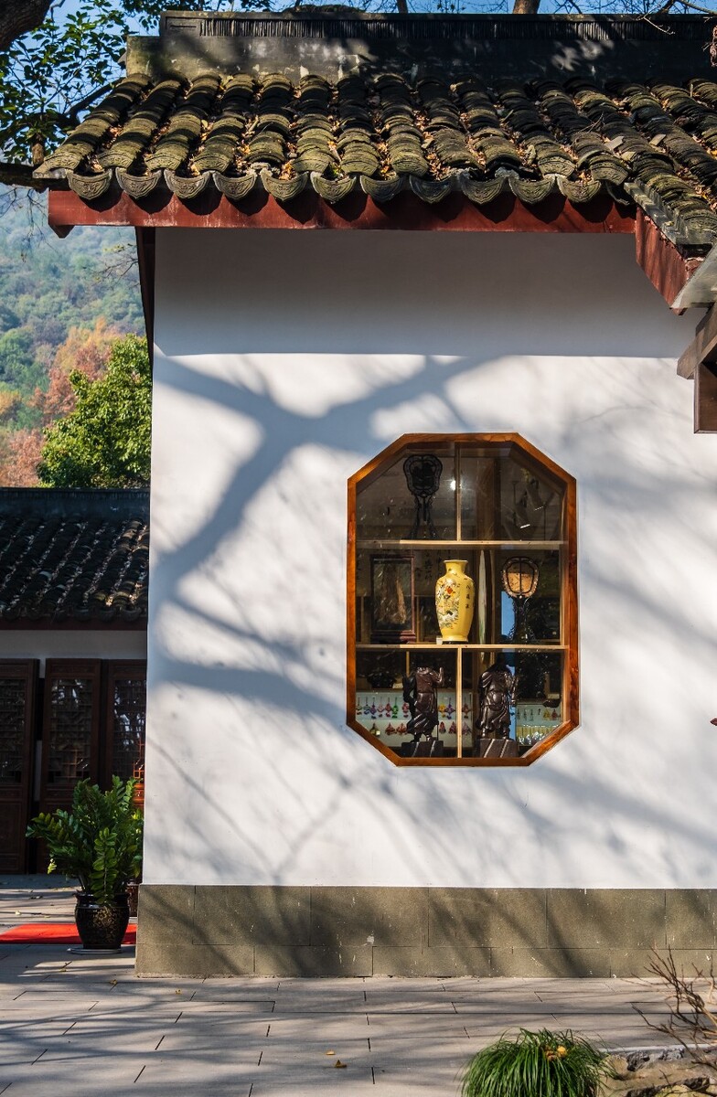 建筑 橱窗 摄影 特写 花瓶  屋檐 房檐 瓦片 图片 