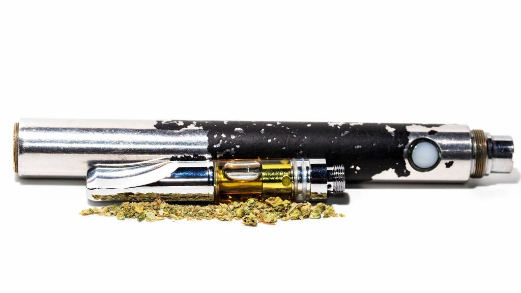 海棠花 植物 花卉 花朵  花儿 风光 摄影 自然 雨中的花儿