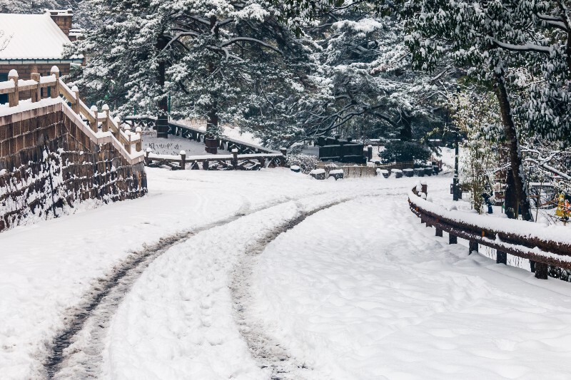 雪 自然 风光 摄影 树枝上的雪 白雪 雪景 曲线 大自然 道路 弯道