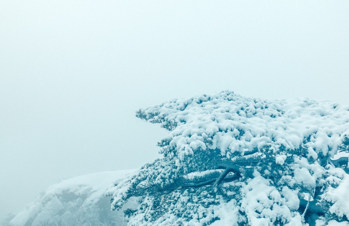 雪山 雪景 大自然 自然风光 银妆素裹 万里雪飘 黄山雪景 黄山 雪后的黄山 旅游 旅行 森林雪景