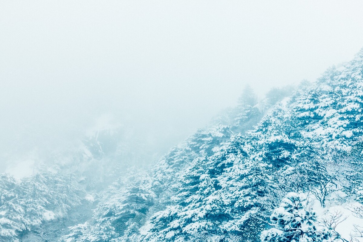 雪山 雪景 大自然 自然风光 银妆素裹 万里雪飘 黄山雪景 黄山 雪后的黄山 旅游 旅行 森林雪景