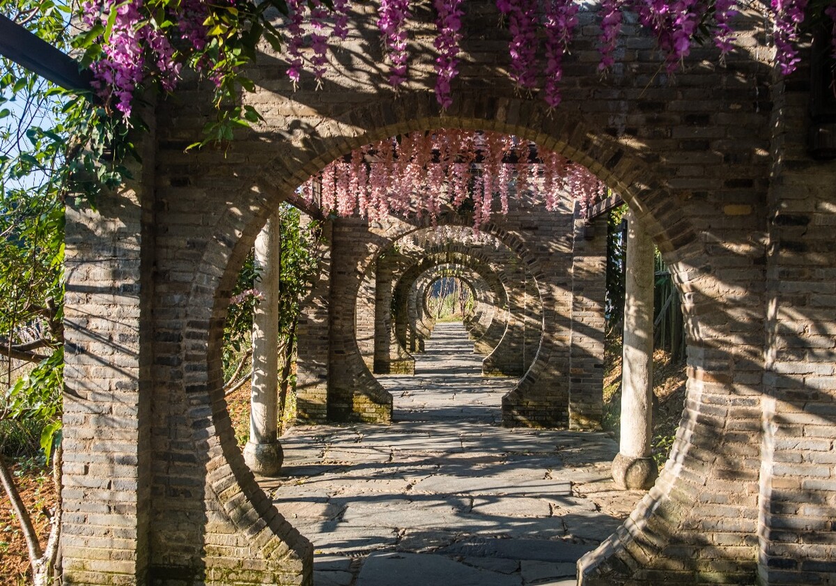 烟岸  雾气迷蒙的水岸 植物 透视 路 道路 风景 风光 摄影  图片素材 