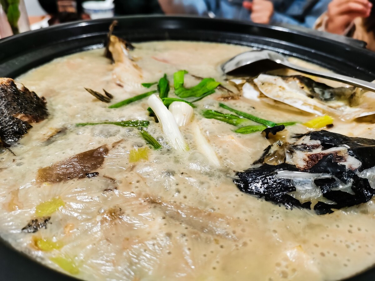 摄影 图片 素材 特写 美食 美味 中餐 鱼头 鱼汤