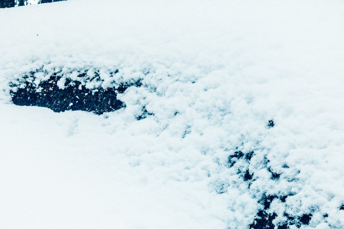摄影 雪景 大自然 黄山 黄山雪景 雪中黄山 森林雪景