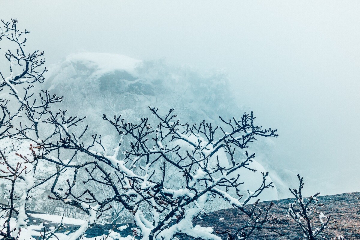 雪景 大自然 自然 风光 黄山雪景 摄影 银妆素裹 千里冰封 万里雪飘 旅游 树枝上的雪 森林雪景