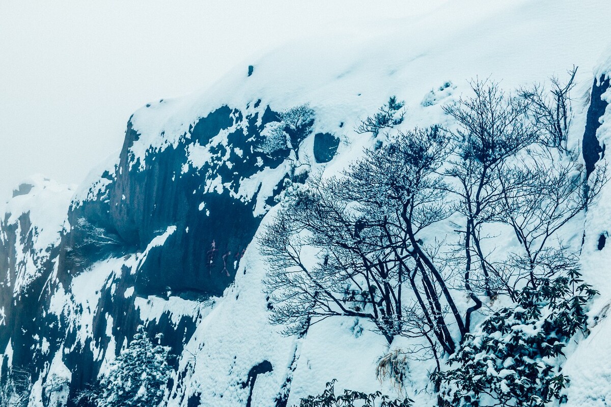雪景 大自然 自然 风光 黄山雪景 摄影 银妆素裹 千里冰封 万里雪飘 旅游 树枝上的雪 森林雪景