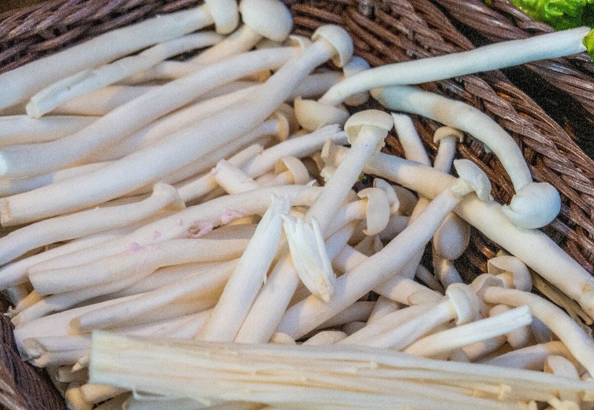 金针茹 炒菜 食物 美食 生活 旅游 旅行 摄影 炒菜