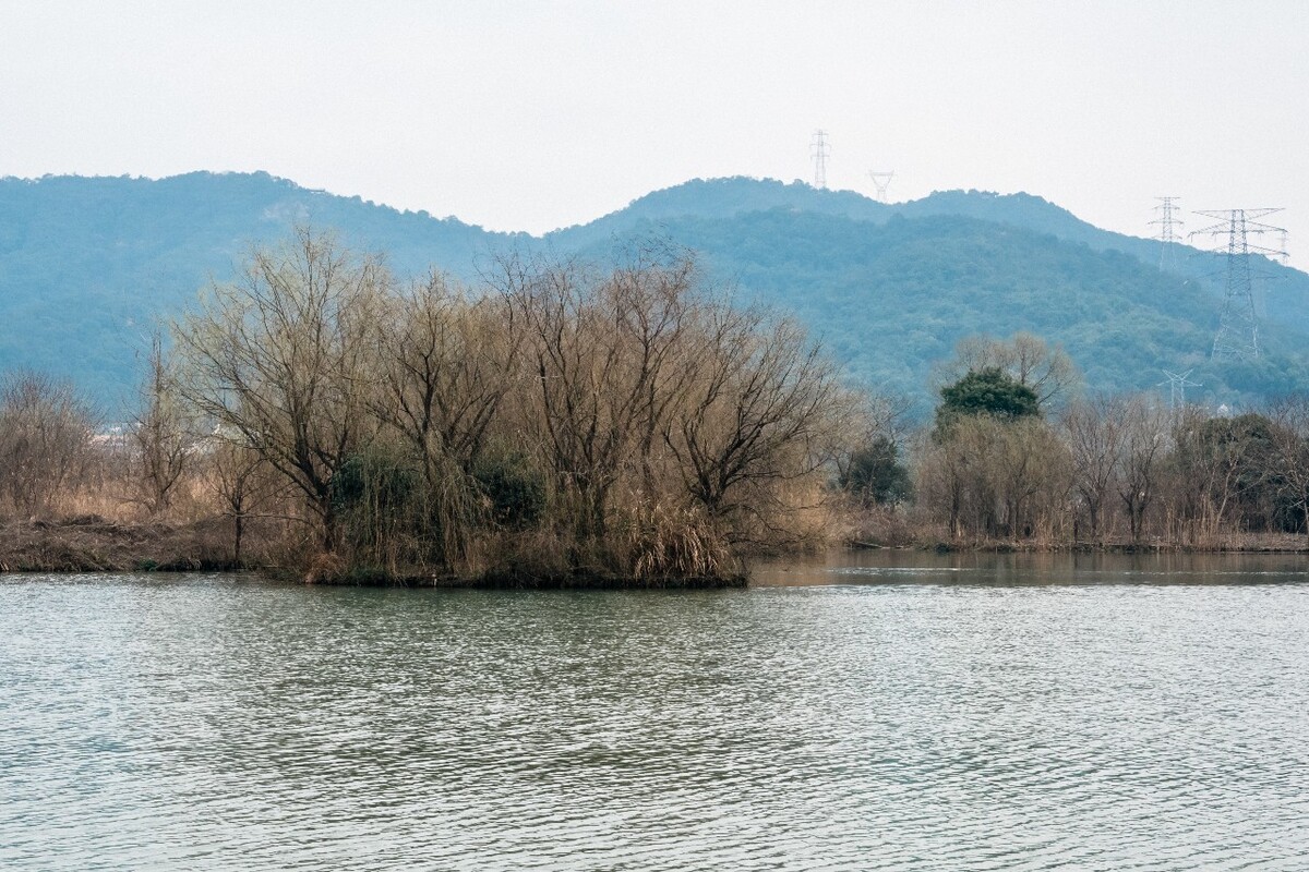 湘湖风光 自然 风光 摄影 风景 旅游 旅行 自然 树