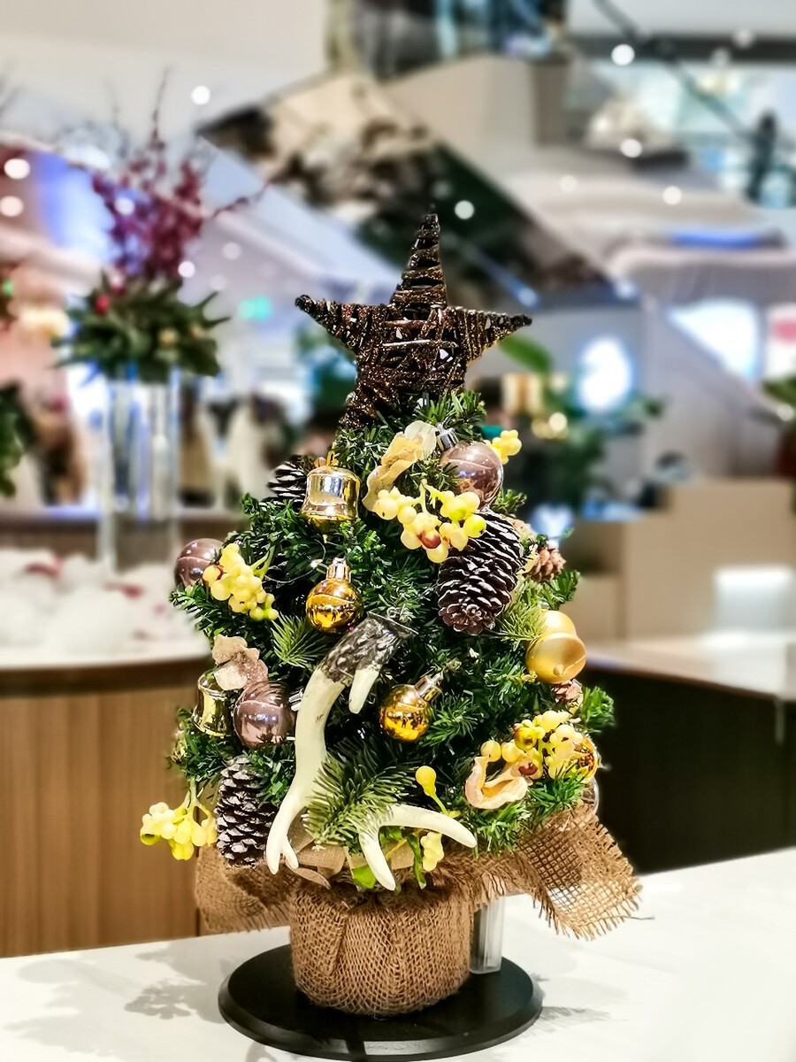 圣诞 圣诞节 圣诞素材 圣诞氛围 图片 摄影 特写 新年 鹿 圣诞元素 照片 艺术 生活 自然 Merry christmas 圣诞树 圣诞老人