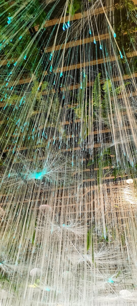 灯 灯光 人工 led灯  光线 装饰 摄影 图片 摄影  特写 素材