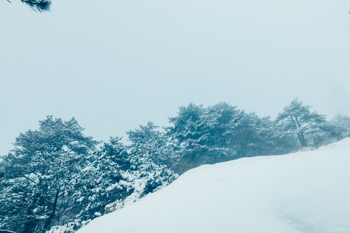 雪山 雪景 大自然 自然风光 银妆素裹 万里雪飘 黄山雪景 黄山 雪后的黄山 旅游 旅行 森林雪景