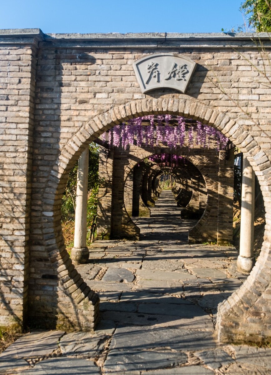 烟岸  雾气迷蒙的水岸 植物 透视 路 道路 风景 风光 摄影  图片素材 