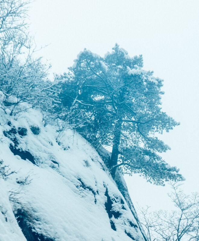 自然 风光 雪景 大自然 黄山雪景 黄山之石 摄影 黄山 山 石头上的雪 石头雪景 奇石