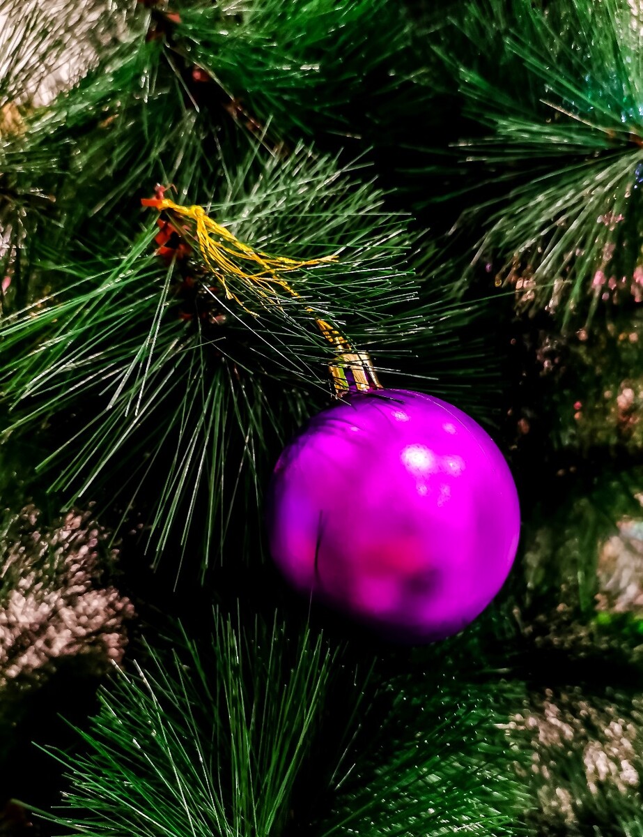 圣诞 圣诞节 圣诞素材 圣诞氛围 图片 摄影 特写 新年 鹿 圣诞元素 照片 艺术 生活 自然 Merry christmas