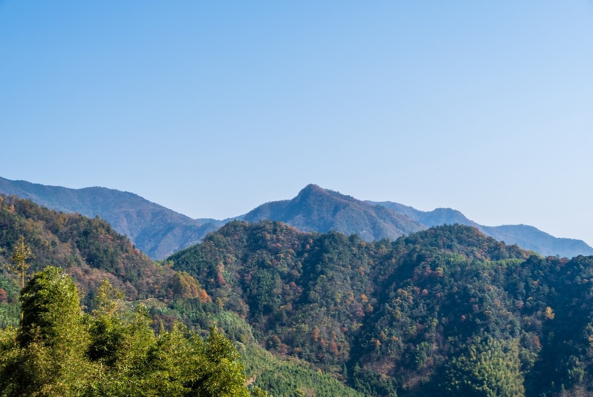 天空 树木 树枝 摄影 大自然 自然风光 风景 指南树 临安 山峰 山脉