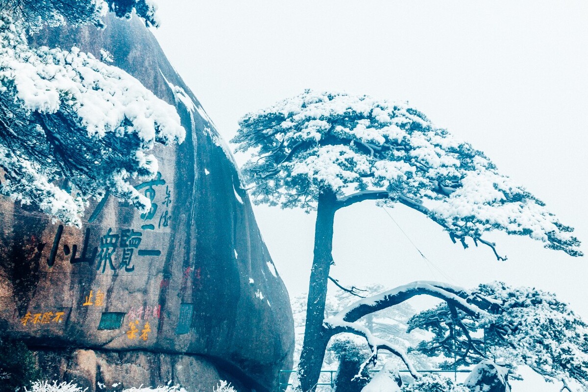 雪景 大自然 自然 风光 黄山雪景 摄影 银妆素裹 千里冰封 万里雪飘 旅游 树枝上的雪 森林雪景 迎客松 松树
