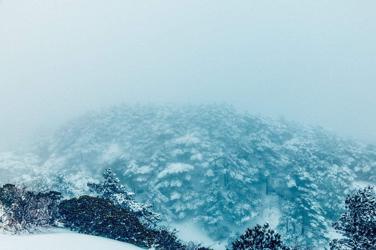 自然 风光 雪景 大自然 黄山雪景 黄山之石 摄影 黄山 山 石头上的雪 石头雪景 奇石