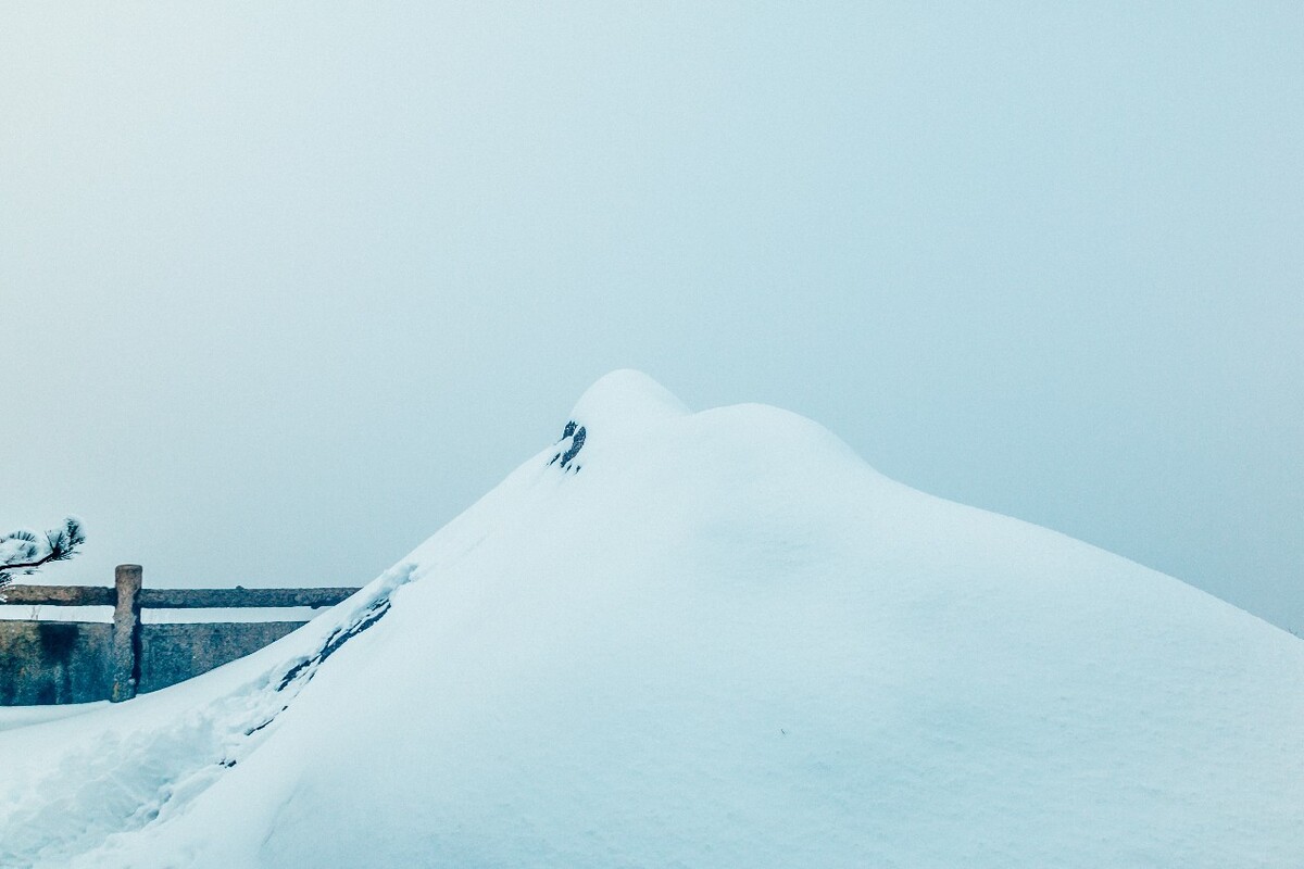植物 雪景 大自然 自然 雪中的植物 白雪 黄山雪景 索道 黄山 森林雪景