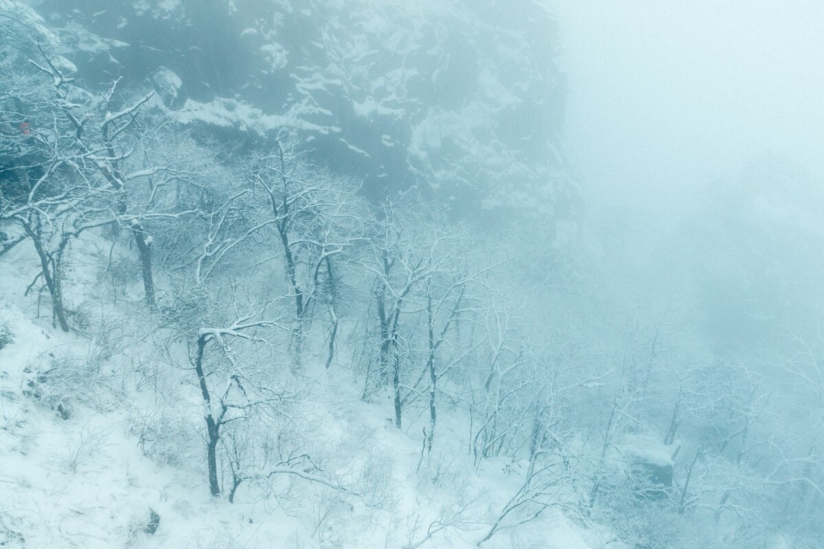 雪山 雪景 大自然 自然风光 银妆素裹 万里雪飘 黄山雪景 黄山 雪后的黄山 旅游 旅行 森林雪景