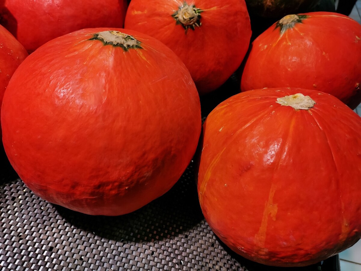 图片 摄影 特写 蔬菜水果 南瓜 红色的南瓜 小南瓜 倭瓜 番瓜 饭瓜 番南瓜 北瓜