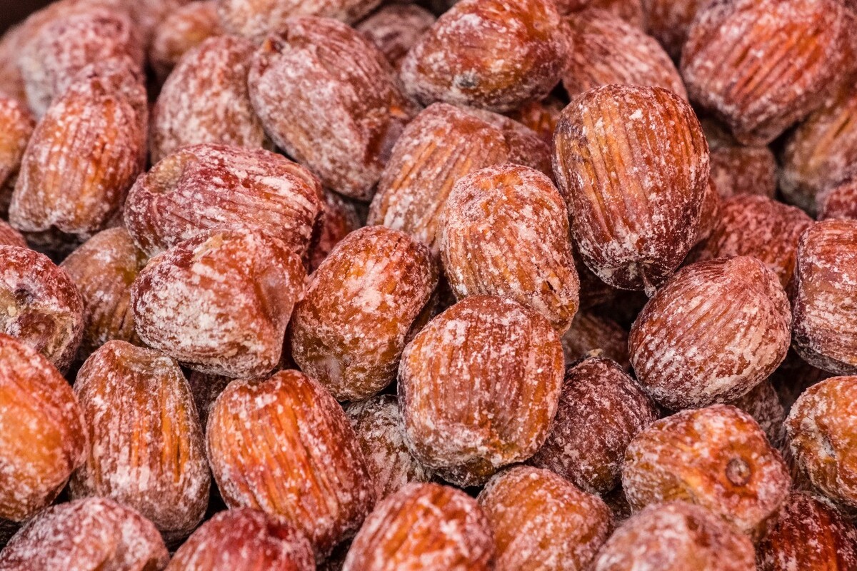 蜜枣 干果类  随州蜜枣 梧州蜜枣  蜜饯  京式蜜  徽式蜜枣  桂式蜜枣  金丝蜜枣  软蜜枣  摄影 特写 素材
