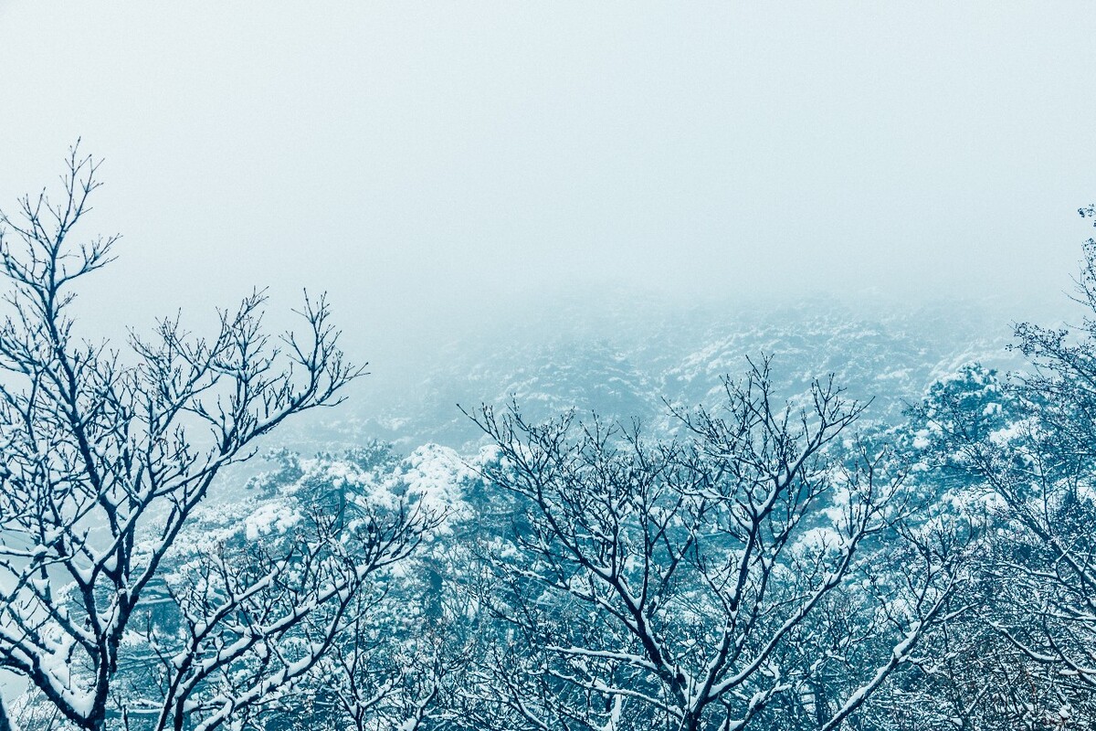 雪景 大自然 自然 风光 黄山雪景 摄影 银妆素裹 千里冰封 万里雪飘 旅游 树枝上的雪 森林雪景