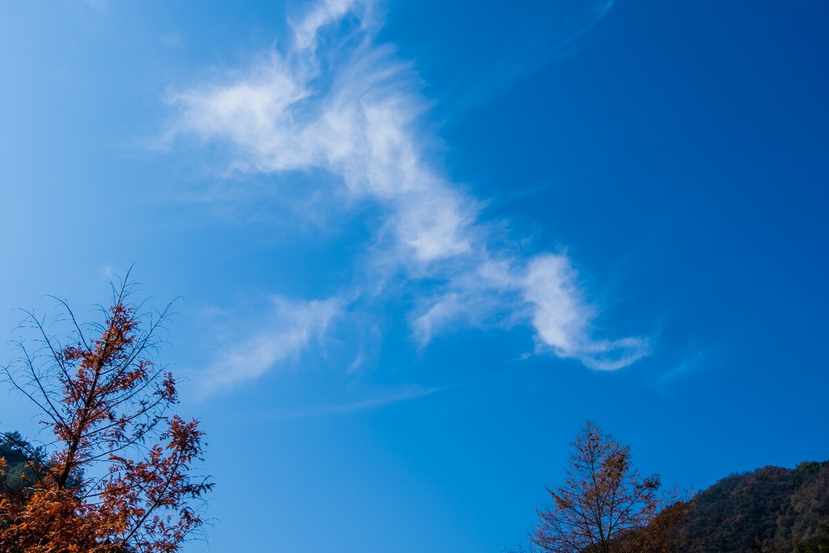 蓝天白云 天空云彩 摄影 素材 天空 云彩 风光 旅行 风光 白云 树木