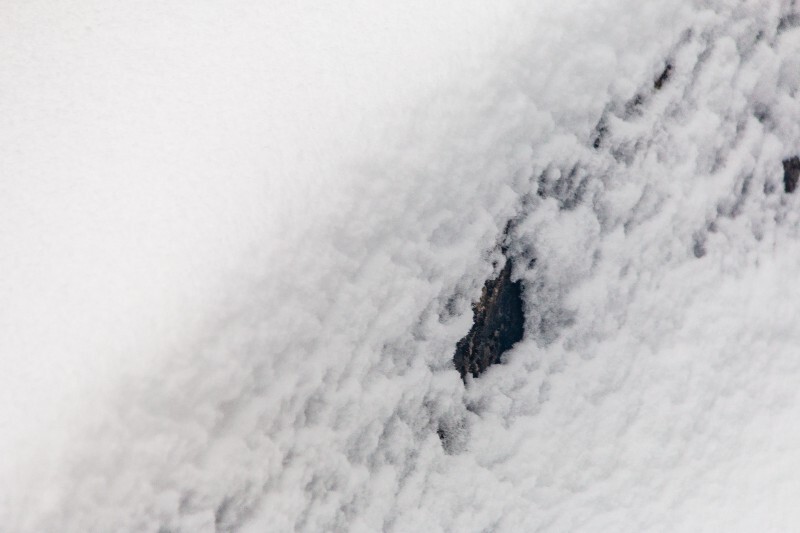 雪 自然 风光 摄影 树枝上的雪 白雪 雪景 大自然 黄山雪景