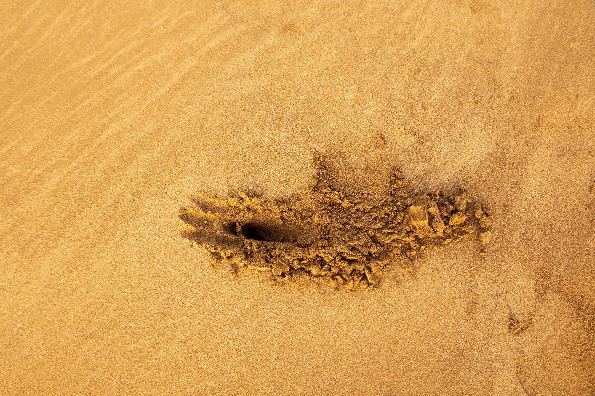 海滩 沙滩 海边 风光 沙 自然 摄影
