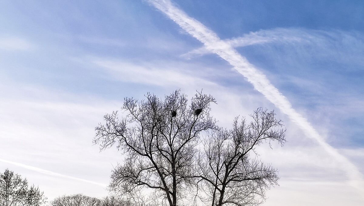 自然 风光 云彩 树 风景 天空 特写 素材 摄影  