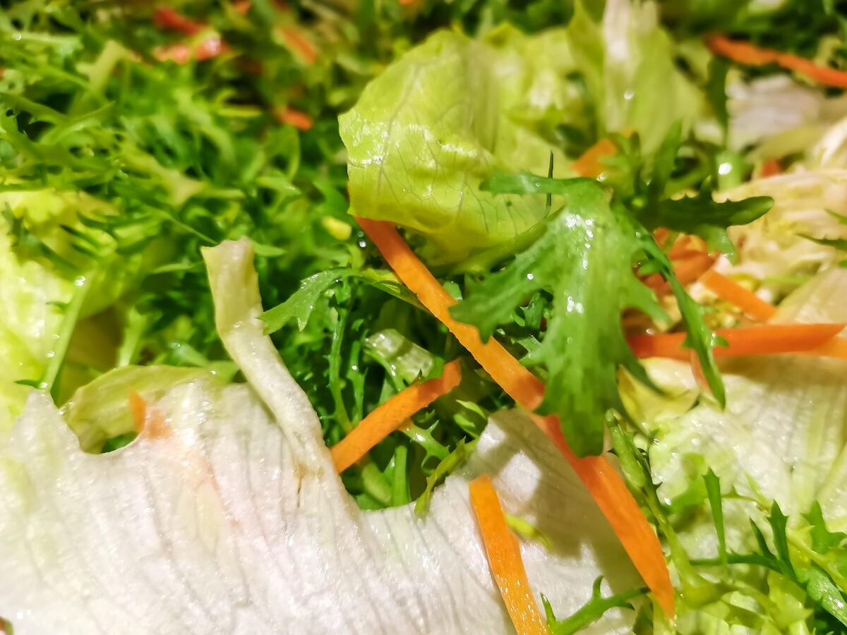 食物 特写 摄影 图片 美食 生菜 白菜