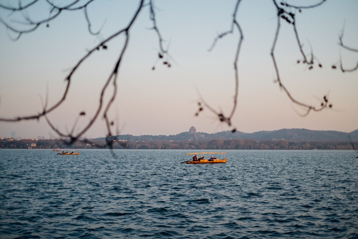 风光 风景 游船 西湖 湖水 自然  树枝 船 特写 图片